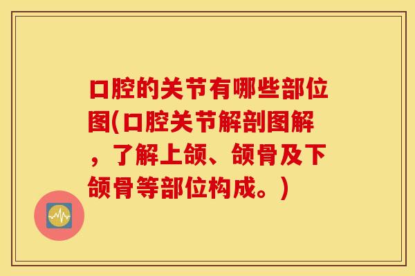 口腔的关节有哪些部位图(口腔关节解剖图解，了解上颌、颌骨及下颌骨等部位构成。)