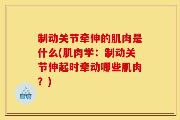 制动关节牵伸的肌肉是什么(肌肉学：制动关节伸起时牵动哪些肌肉？)