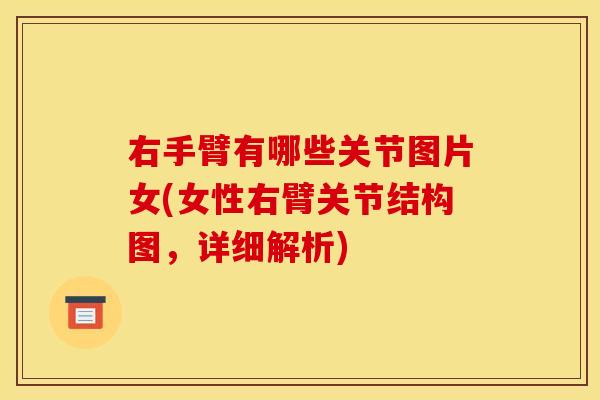 右手臂有哪些关节图片女(女性右臂关节结构图，详细解析)