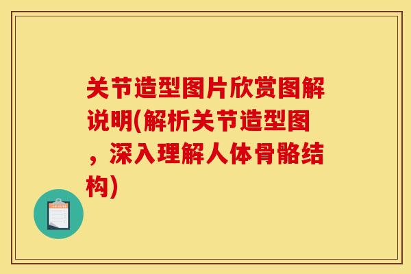关节造型图片欣赏图解说明(解析关节造型图，深入理解人体骨骼结构)