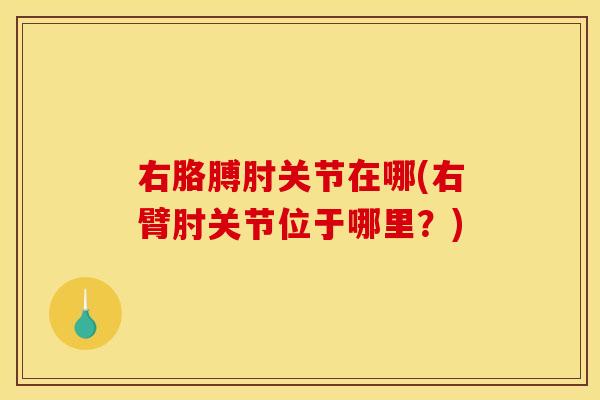 右胳膊肘关节在哪(右臂肘关节位于哪里？)