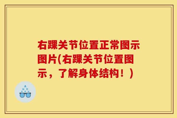 右踝关节位置正常图示图片(右踝关节位置图示，了解身体结构！)