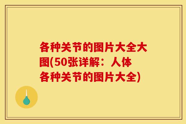 各种关节的图片大全大图(50张详解：人体各种关节的图片大全)
