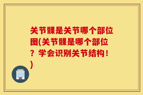 关节髁是关节哪个部位图(关节髁是哪个部位？学会识别关节结构！)