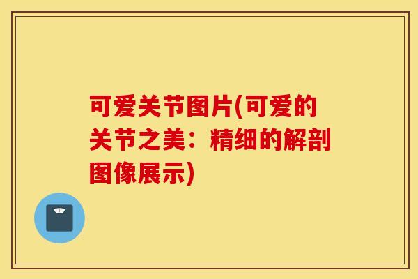 可爱关节图片(可爱的关节之美：精细的解剖图像展示)