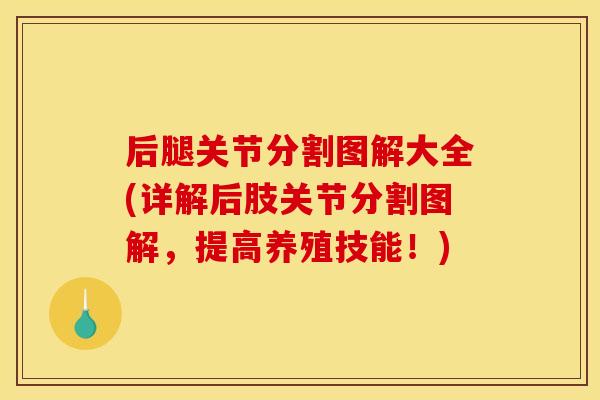 后腿关节分割图解大全(详解后肢关节分割图解，提高养殖技能！)