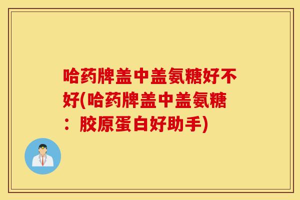 哈药牌盖中盖氨糖好不好(哈药牌盖中盖氨糖:胶原蛋白好助手) 哈药牌盖中盖氨糖好不好(哈药牌盖中盖氨糖:胶原蛋白好助手)