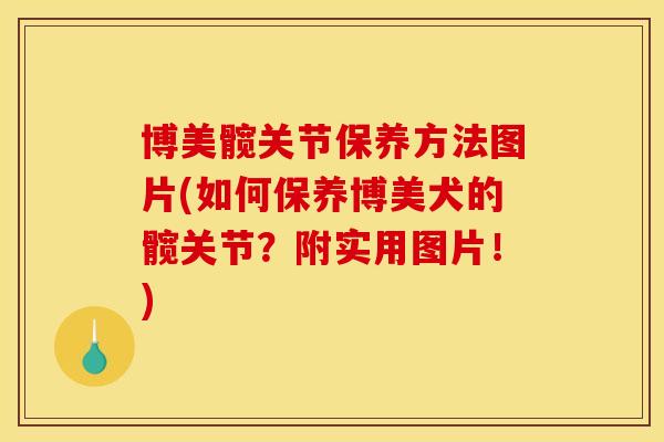 博美髋关节保养方法图片(如何保养博美犬的髋关节？附实用图片！)