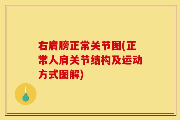 右肩膀正常关节图(正常人肩关节结构及运动方式图解)
