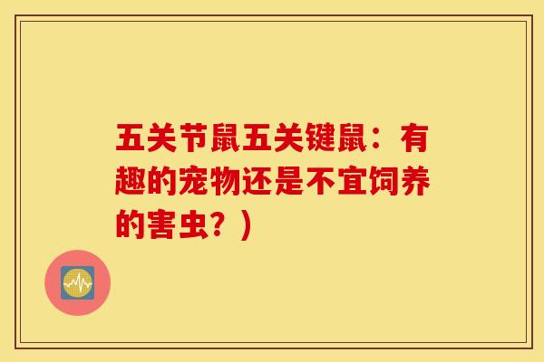 五关节鼠五关键鼠：有趣的宠物还是不宜饲养的害虫？)