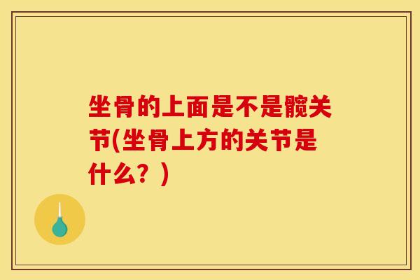 坐骨的上面是不是髋关节(坐骨上方的关节是什么?) 坐骨的上面是不是髋关节(坐骨上方的关节是什么?)