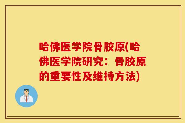 哈佛医学院骨胶原(哈佛医学院研究：骨胶原的重要性及维持方法)