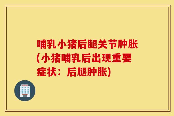 哺乳小猪后腿关节肿胀(小猪哺乳后出现重要症状：后腿肿胀)