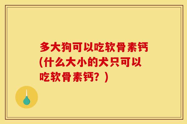 多大狗可以吃软骨素钙(什么大小的犬只可以吃软骨素钙？)