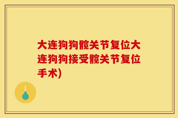 大连狗狗髋关节复位大连狗狗接受髋关节复位手术)