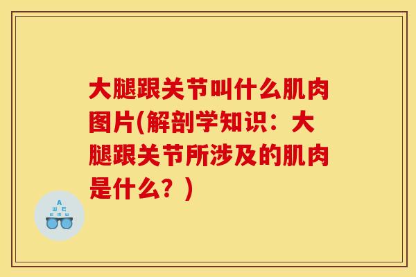 大腿跟关节叫什么肌肉图片(解剖学知识：大腿跟关节所涉及的肌肉是什么？)