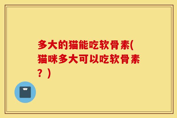 多大的猫能吃软骨素(猫咪多大可以吃软骨素？)