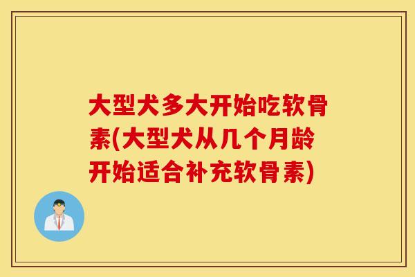 大型犬多大开始吃软骨素(大型犬从几个月龄开始适合补充软骨素)