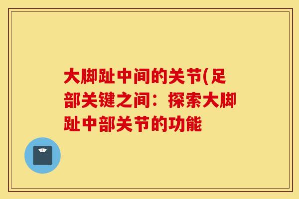 大脚趾中间的关节(足部关键之间：探索大脚趾中部关节的功能