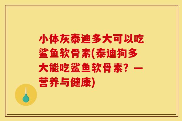 小体灰泰迪多大可以吃鲨鱼软骨素(泰迪狗多大能吃鲨鱼软骨素？—营养与健康)