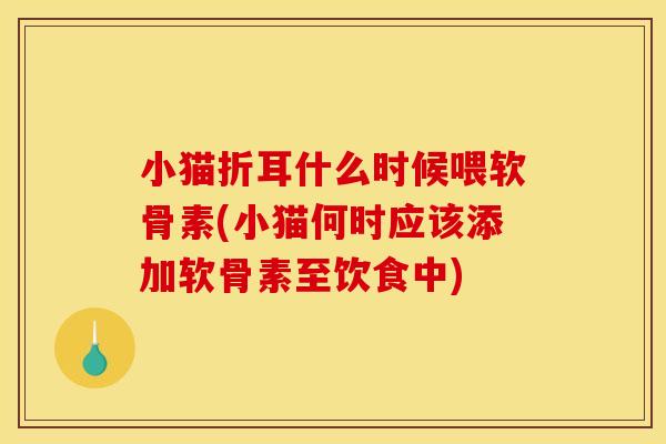 小猫折耳什么时候喂软骨素(小猫何时应该添加软骨素至饮食中)