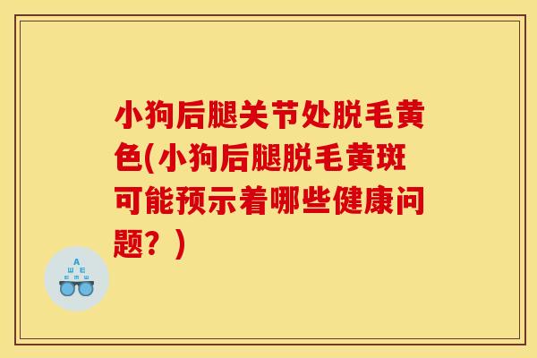 小狗后腿关节处脱毛黄色(小狗后腿脱毛黄斑可能预示着哪些健康问题？)