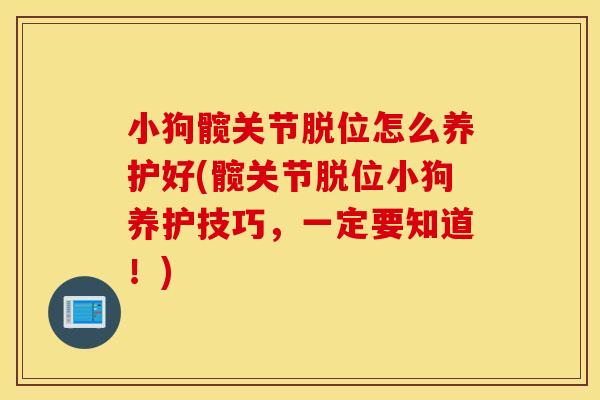 小狗髋关节脱位怎么养护好(髋关节脱位小狗养护技巧，一定要知道！)
