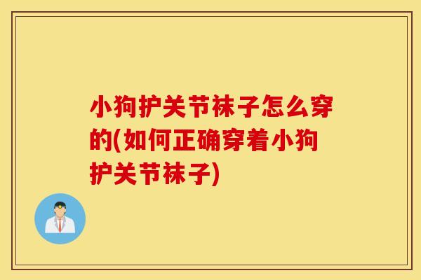 小狗护关节袜子怎么穿的(如何正确穿着小狗护关节袜子)
