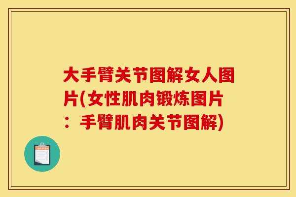 大手臂关节图解女人图片(女性肌肉锻炼图片:手臂肌肉关节图解) 大手臂关节图解女人图片(女性肌肉锻炼图片:手臂肌肉关节图解)