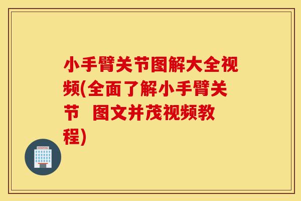 小手臂关节图解大全视频(全面了解小手臂关节  图文并茂视频教程)