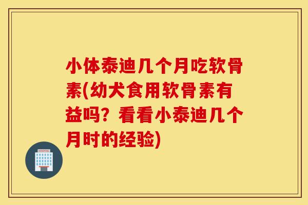 小体泰迪几个月吃软骨素(幼犬食用软骨素有益吗？看看小泰迪几个月时的经验)