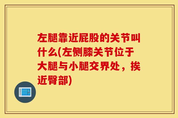 左腿靠近屁股的关节叫什么(左侧膝关节位于大腿与小腿交界处,挨近臀部) 左腿靠近屁股的关节叫什么(左侧膝关节位于大腿与小腿交界处,挨近臀部)