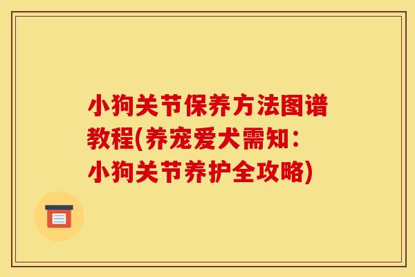 小狗关节保养方法图谱教程(养宠爱犬需知：小狗关节养护全攻略)