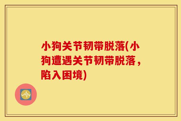 小狗关节韧带脱落(小狗遭遇关节韧带脱落，陷入困境)