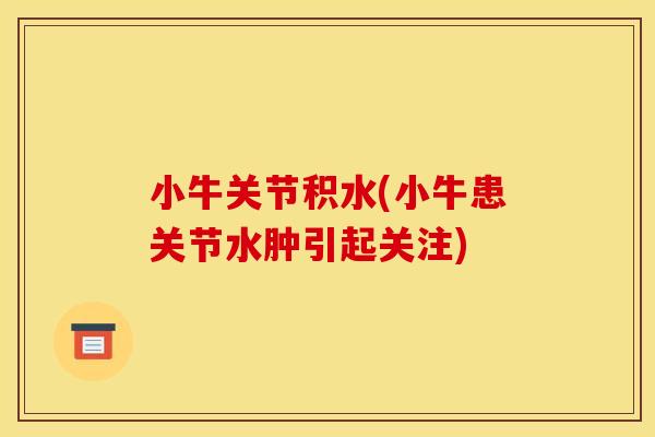 小牛关节积水(小牛患关节水肿引起关注) 小牛关节积水(小牛患关节水肿引起关注)