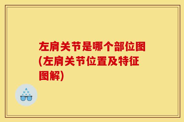左肩关节是哪个部位图(左肩关节位置及特征图解)