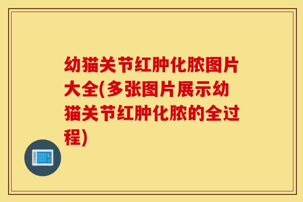 幼猫关节红肿化脓图片大全(多张图片展示幼猫关节红肿化脓的全过程) 幼猫关节红肿化脓图片大全(多张图片展示幼猫关节红肿化脓的全过程)