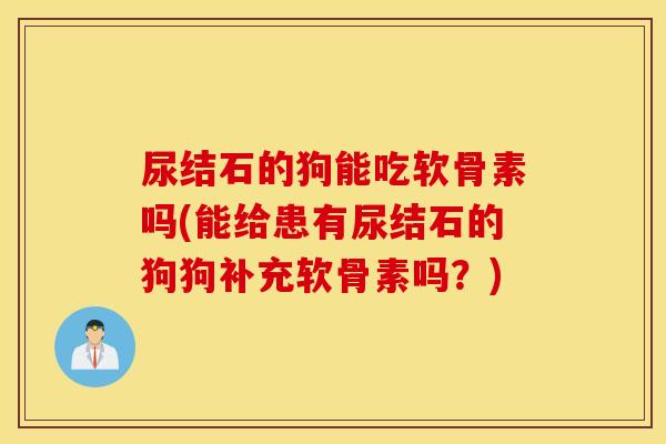 尿结石的狗能吃软骨素吗(能给患有尿结石的狗狗补充软骨素吗？)