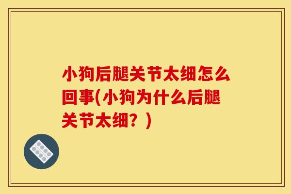 小狗后腿关节太细怎么回事(小狗为什么后腿关节太细？)