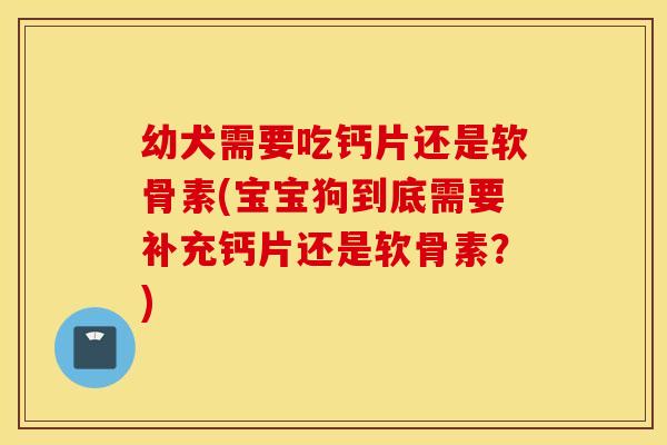 幼犬需要吃钙片还是软骨素(宝宝狗到底需要补充钙片还是软骨素？)