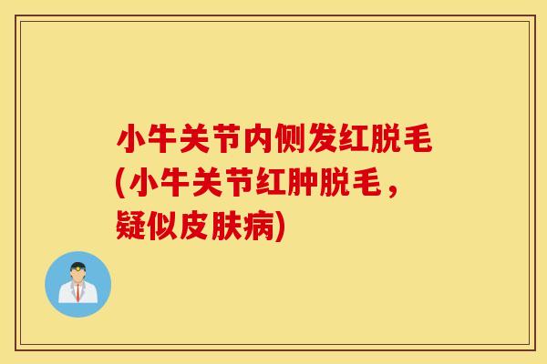 小牛关节内侧发红脱毛(小牛关节红肿脱毛，疑似皮肤病)