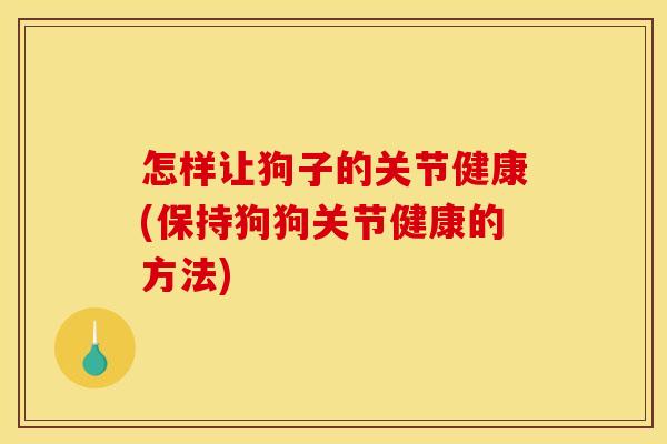 怎样让狗子的关节健康(保持狗狗关节健康的方法)