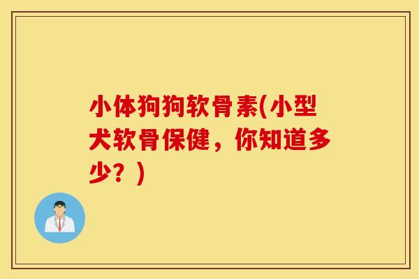 小体狗狗软骨素(小型犬软骨保健，你知道多少？)