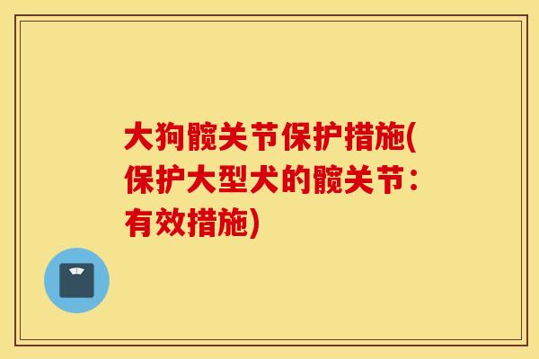 大狗髋关节保护措施(保护大型犬的髋关节：有效措施)
