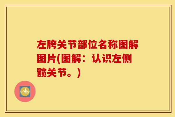左胯关节部位名称图解图片(图解：认识左侧髋关节。)