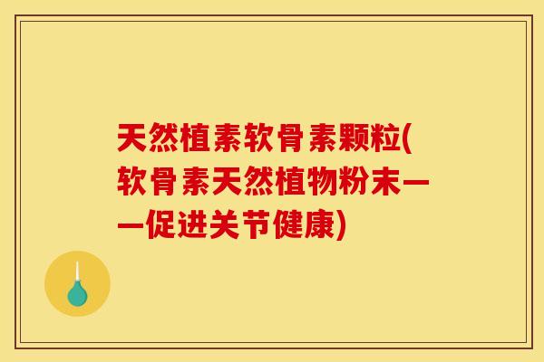 天然植素软骨素颗粒(软骨素天然植物粉末——促进关节健康)