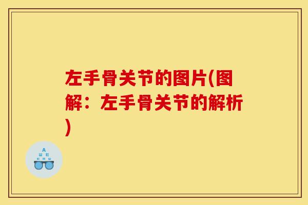 左手骨关节的图片(图解：左手骨关节的解析)