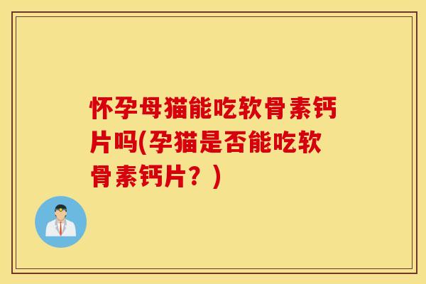 怀孕母猫能吃软骨素钙片吗(孕猫是否能吃软骨素钙片？)