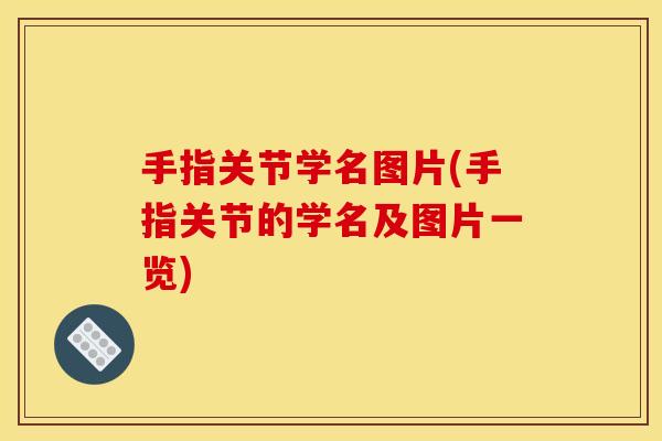 手指关节学名图片(手指关节的学名及图片一览) 手指关节学名图片(手指关节的学名及图片一览)