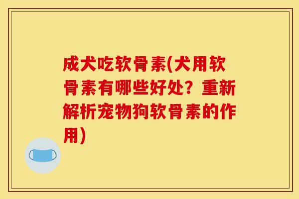 成犬吃软骨素(犬用软骨素有哪些好处？重新解析宠物狗软骨素的作用)